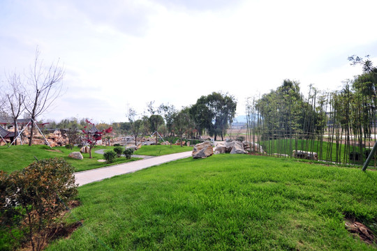 公园风景