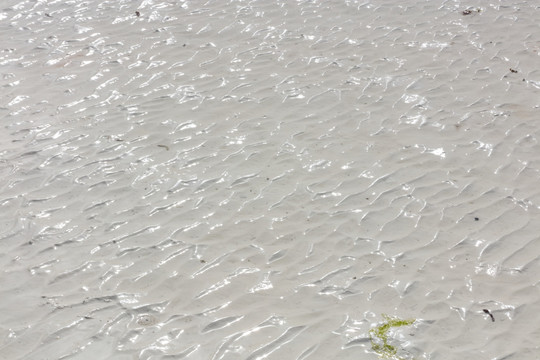 白沙滩 灰色背景 背景实拍