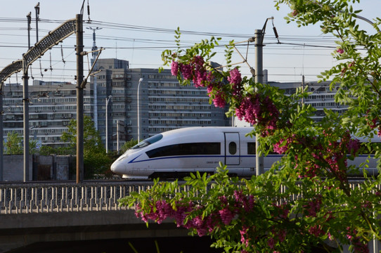 和谐号