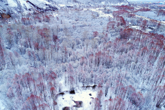 雪后柳林雪景 航拍