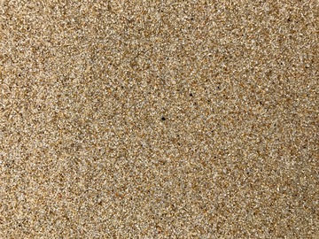 沙子 