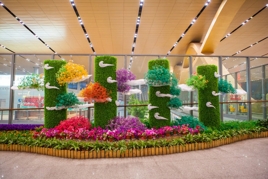 机场绿植装饰