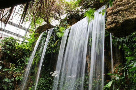 武汉植物园瀑布