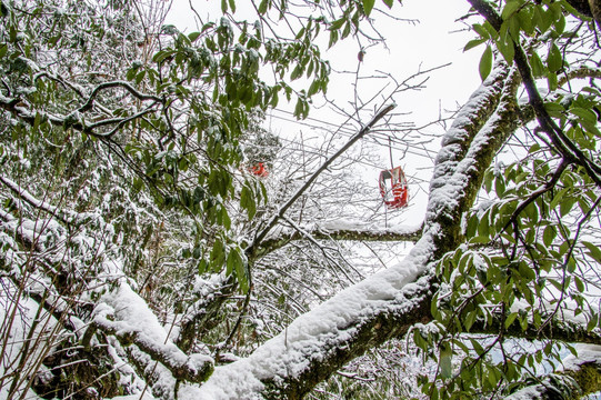 洪雅瓦屋山国家森林公园