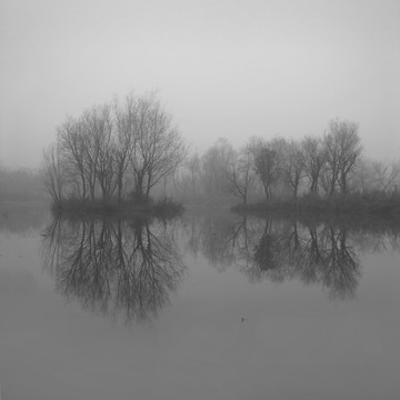 黑白意境树木倒映在湖水里