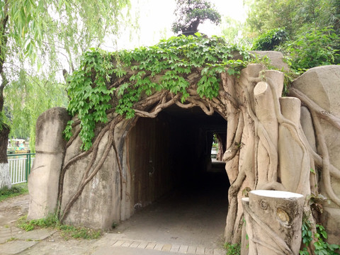 公园山洞入口