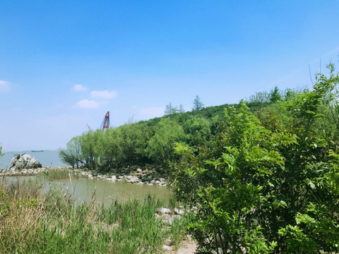 吴淞炮台湾湿地公园 炮台湾湿地