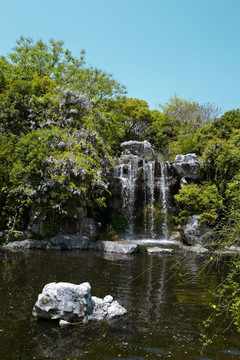 吴淞炮台湾湿地公园 炮台湾湿地