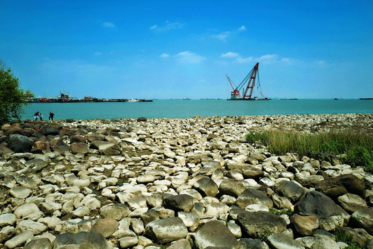 吴淞炮台湾湿地公园 炮台湾湿地