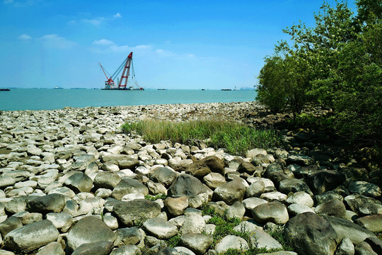 吴淞炮台湾湿地公园 炮台湾湿地