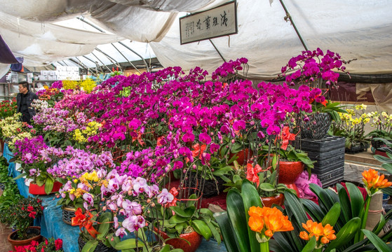 鲜花市场 花店