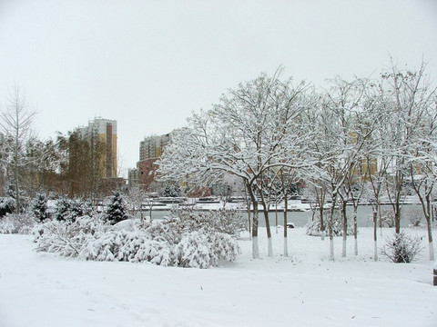 公园雪景