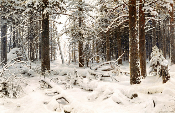 雪风景雪景