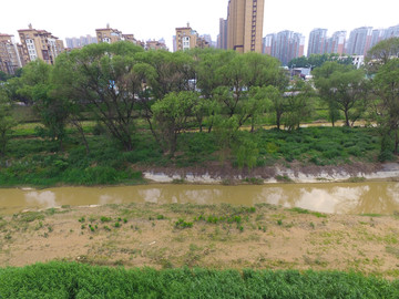 河堤