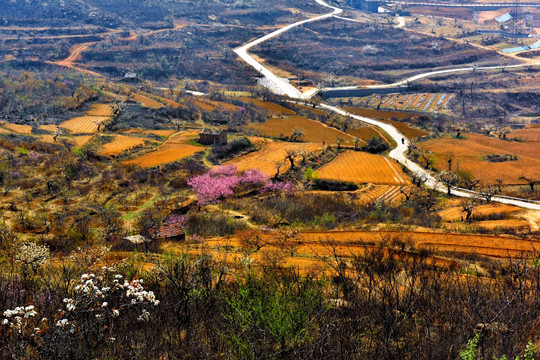 山中春色浓