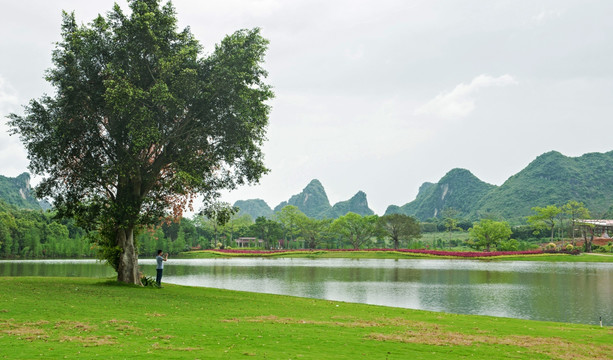 青山绿水 草地 湖畔