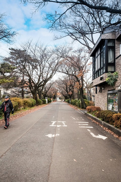 日本江户建筑园