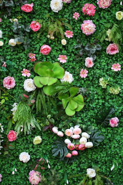 绿色植物墙 绿植 花墙 植物墙