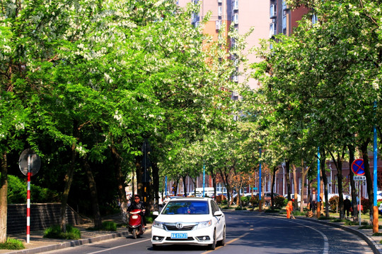 南京江北新区六合风光