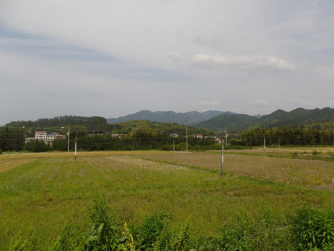 乡村美景