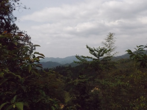 高山风景