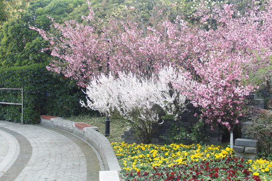 公园