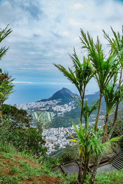 南美洲 巴西 里约 基督山