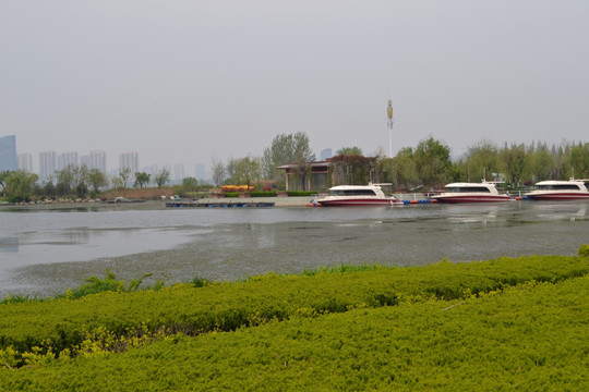 公园风景