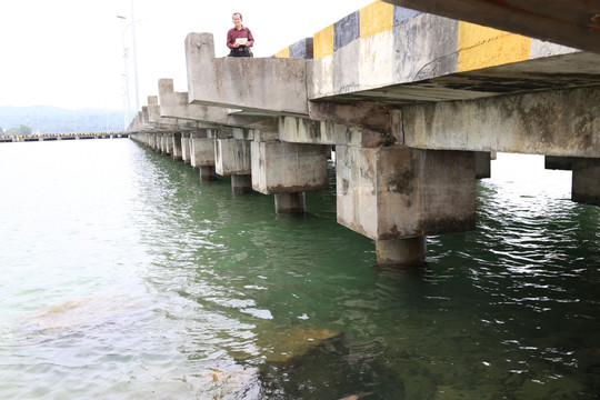 印尼码头高桩栈桥下部结构