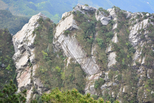 庐山五老峰春色