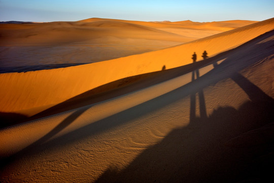 沙漠之影