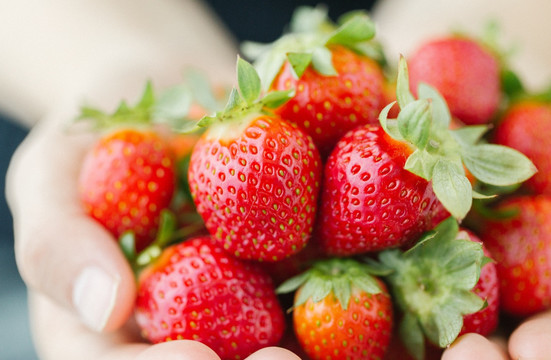 草莓食材 新鲜草莓 奶油草莓