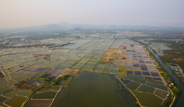 盐场 线条 大地 养殖场