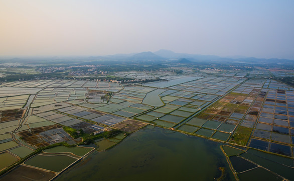 盐场 线条 大地 养殖场