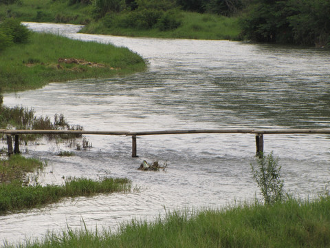 小溪上的独木桥