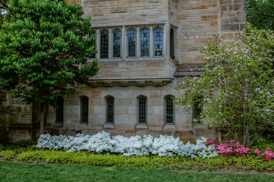 北美 美国 耶鲁 大学 景点