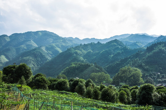 山岭风光