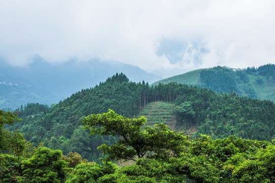 山岭风光