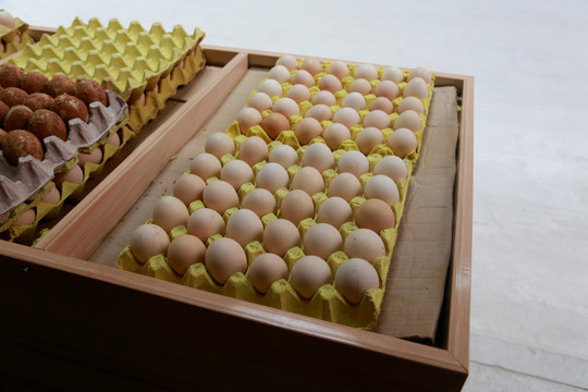 鸡蛋照片3