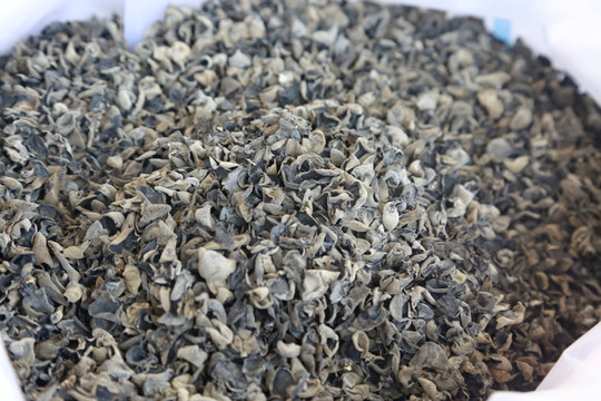干木耳照片