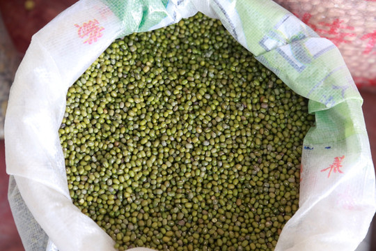 绿豆照片2