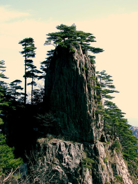 黄山旅游摄影风光图片