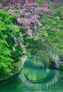 公园里的风景