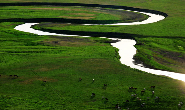 草原牧场牛群河流