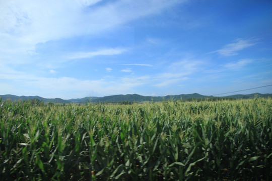 自然风景