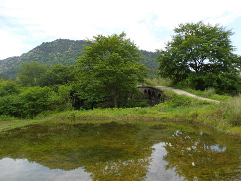 乡村美景