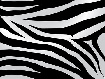 黑白条纹斑马设计