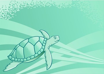 海龟背景页面设计