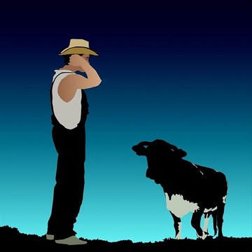农民和奶牛插图