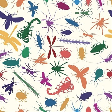 各种昆虫和其他无脊椎动物插图